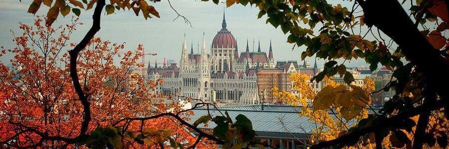 Gyula77Toth's profile banner image