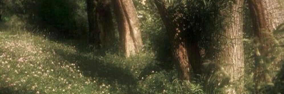Notanswer_'s profile banner image
