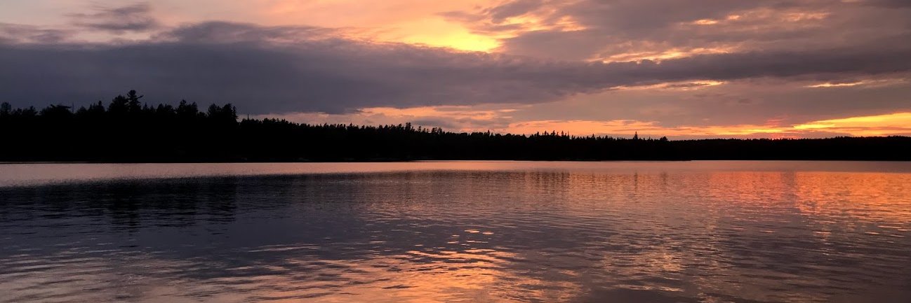 chubby_darter's profile banner image