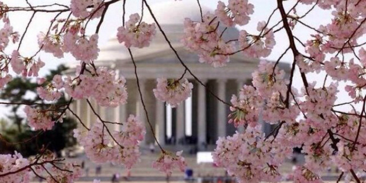 ­Jen Griffith banner