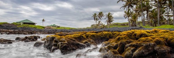 janethinde Profile Banner