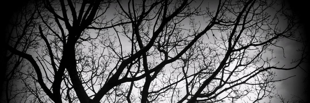Boointheflesh's profile banner image