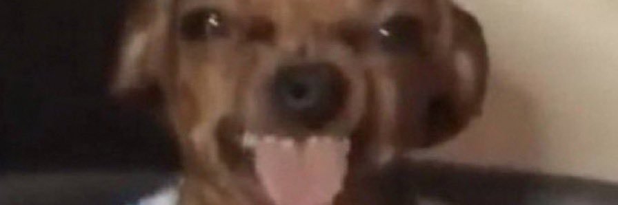 alannasween666's profile banner image