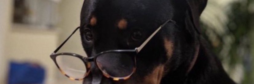 Lexjorie's profile banner image