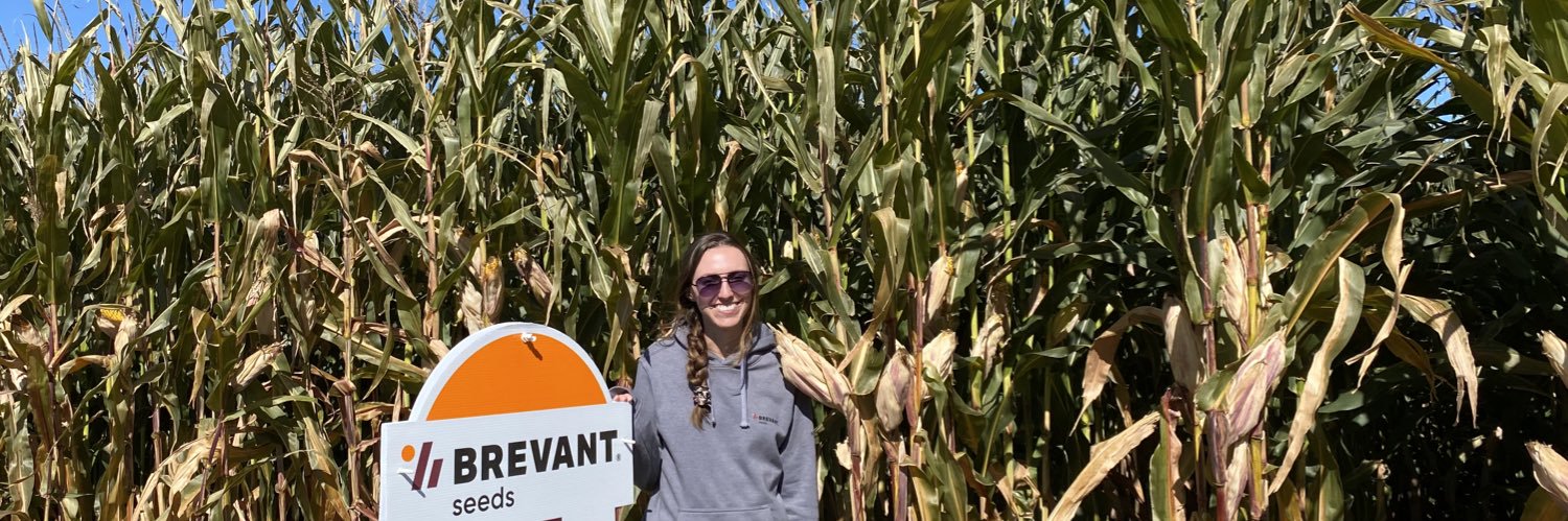 anna_bohlken's profile banner image