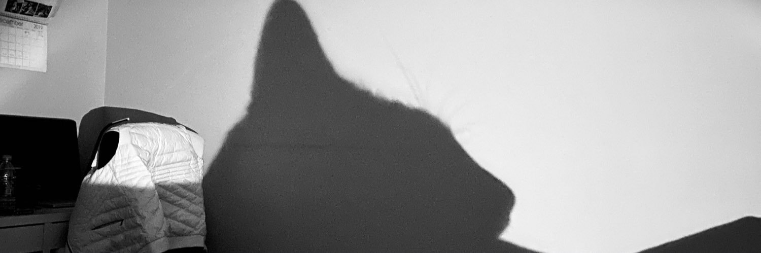 valentinarias05's profile banner image