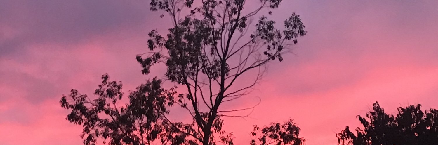 janeymac11's profile banner image