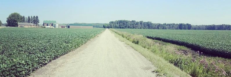 thefrenchj's profile banner image