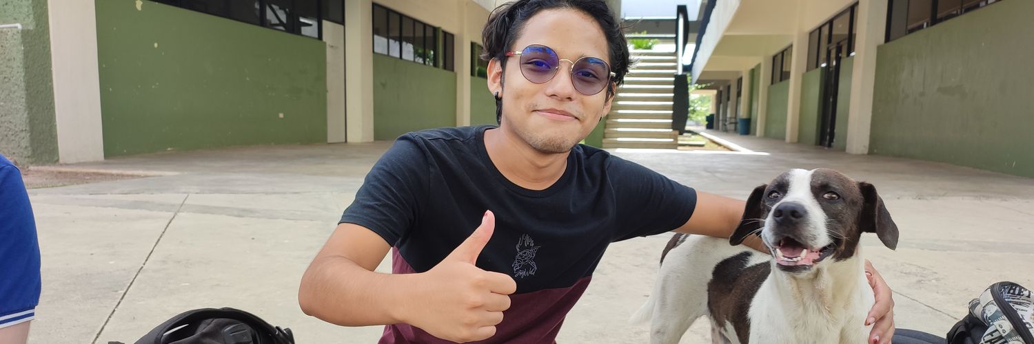 romitorreess's profile banner image