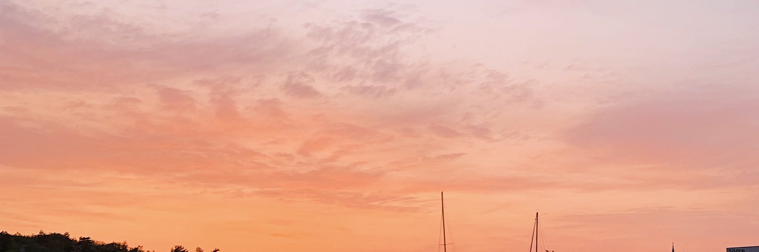 emmaforsell's profile banner image