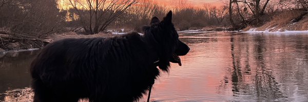 ZaklinaczLosiow Profile Banner