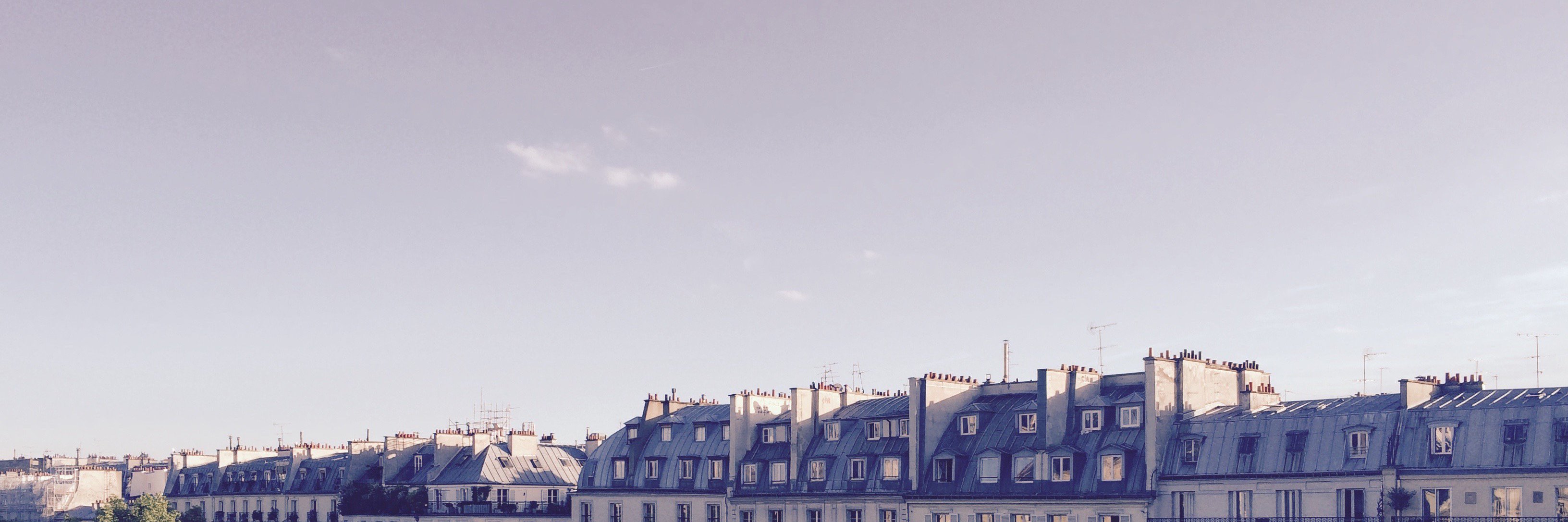 eeva_pd's profile banner image