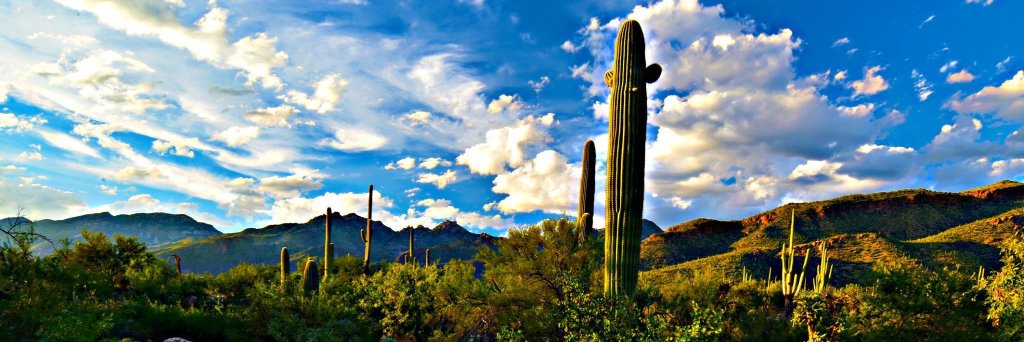 BeyondTucson's profile banner image