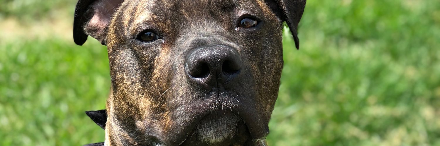 austin jeffrey kroll banner