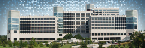 UTSWMolBiol Profile Banner