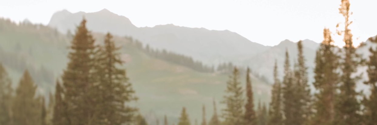 Chalibitme's profile banner image