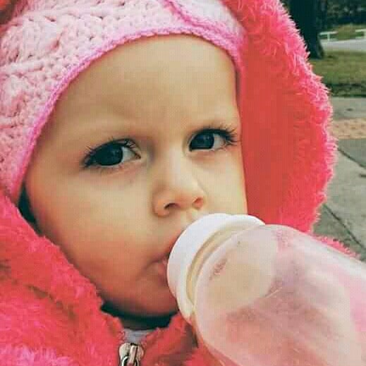 David špalek banner