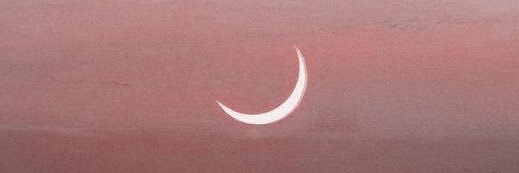 ALLYLOVESRICKY's profile banner image