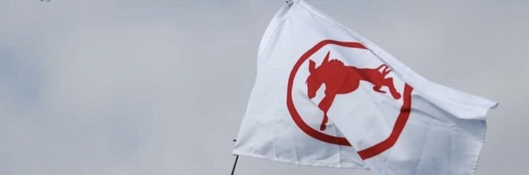 yo_rho's profile banner image