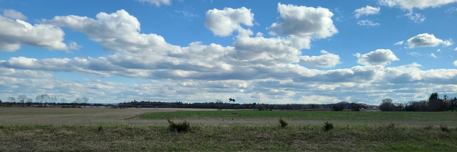 AgnesAnneM's profile banner image
