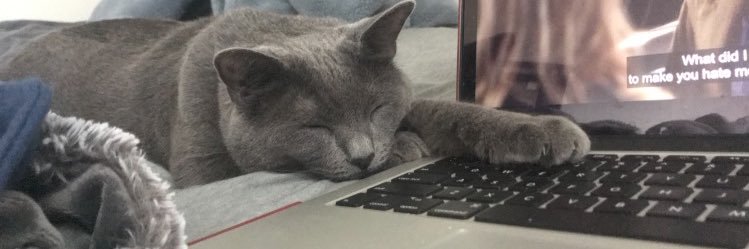 Alyssishiness's profile banner image