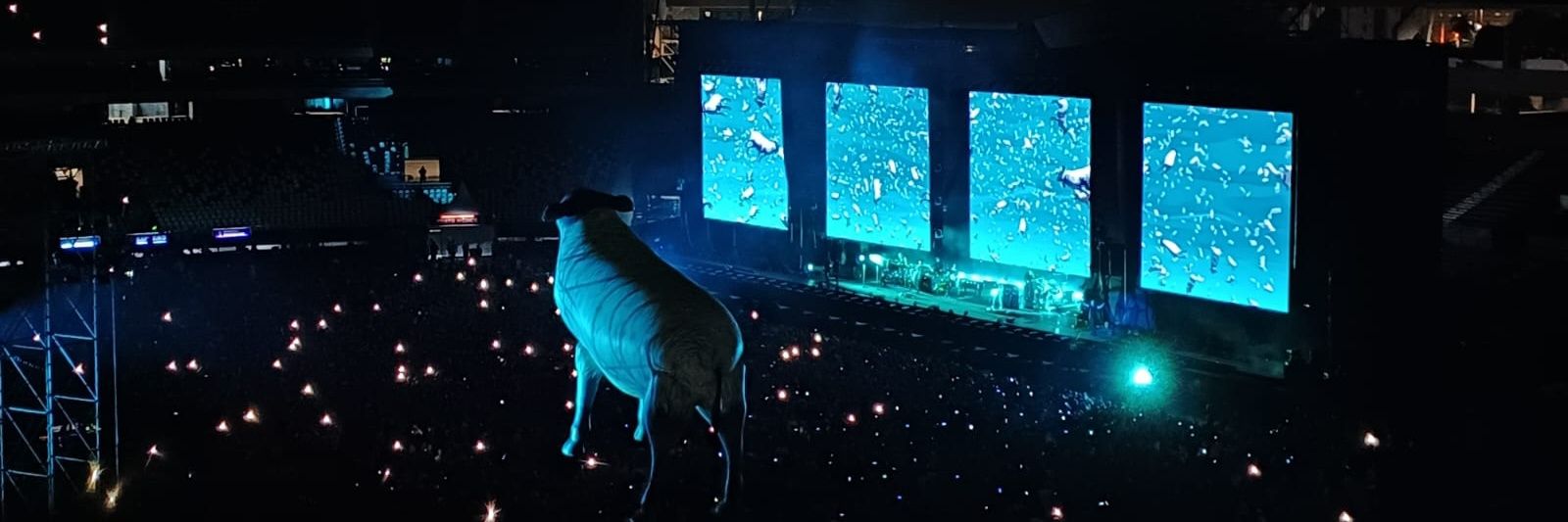 Layon Endlich banner