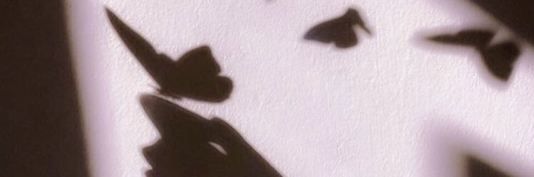 NereaLerma's profile banner image