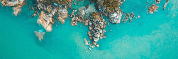 DrNickBailey Profile Banner