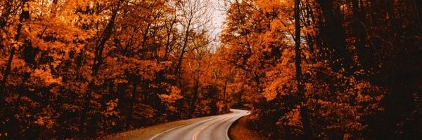 MissManna08's profile banner image