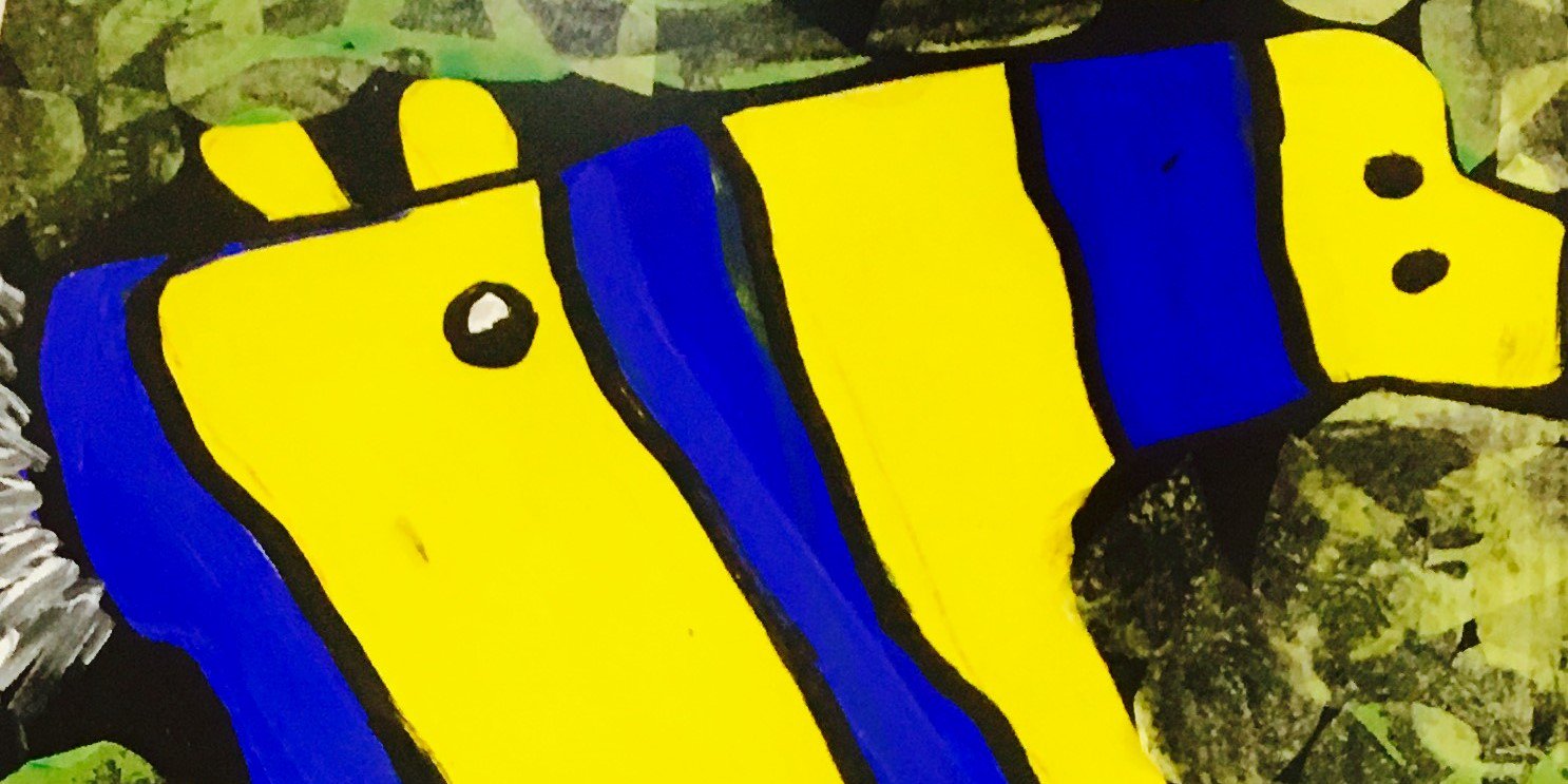 canorod79's profile banner image