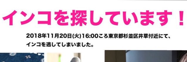 pomingpomy's profile banner image