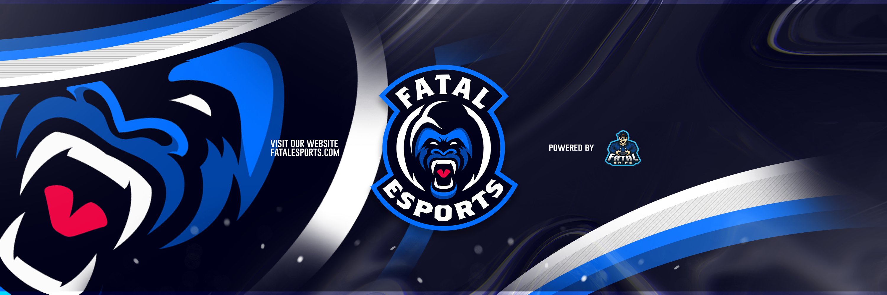 FataleSports_'s profile banner image