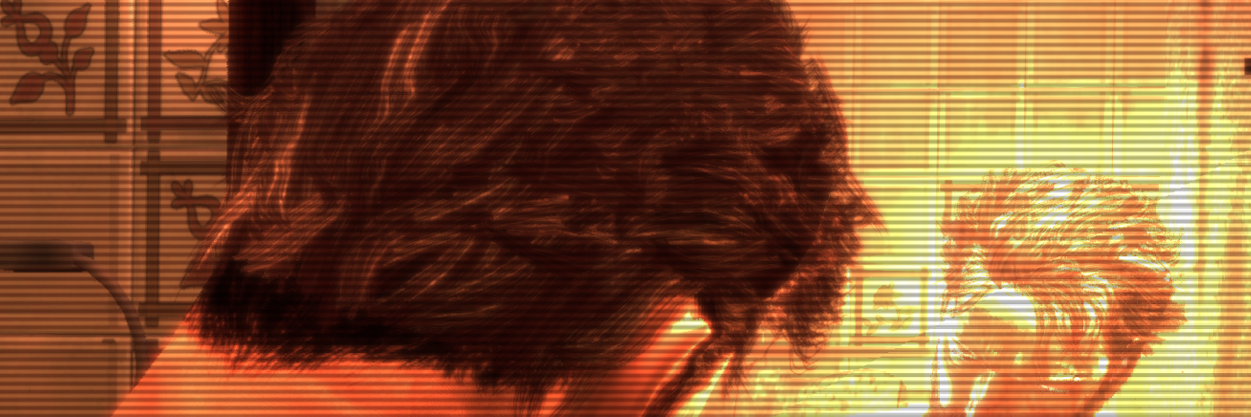 developerATP's profile banner image