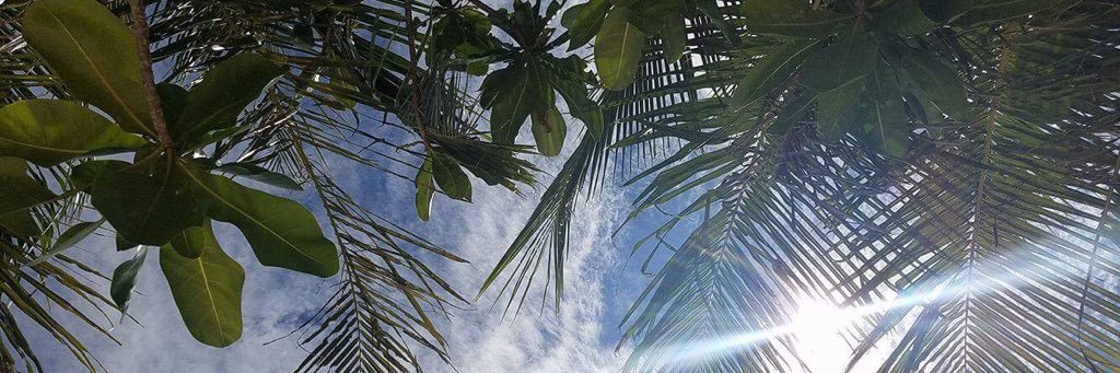 LauraDesinsa's profile banner image