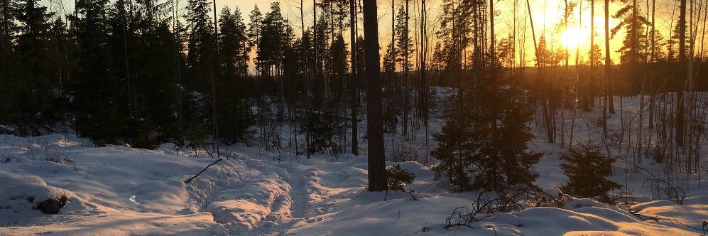OskuPartonen's profile banner image