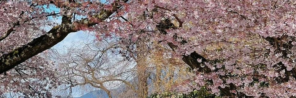 Olioli87656's profile banner image