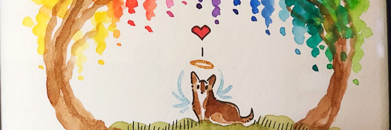 kelnkass's profile banner image