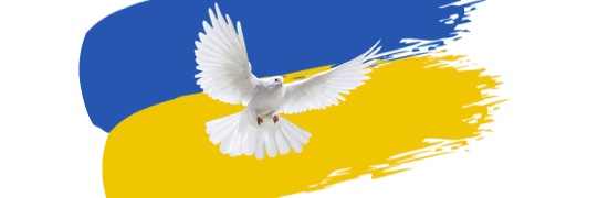 MartinSvato's profile banner image