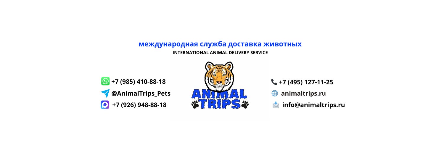 animaltrips's profile banner image