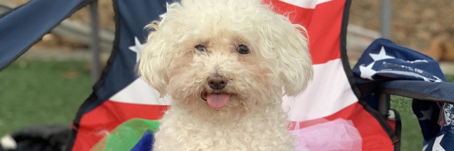 ASAPCeeBee's profile banner image