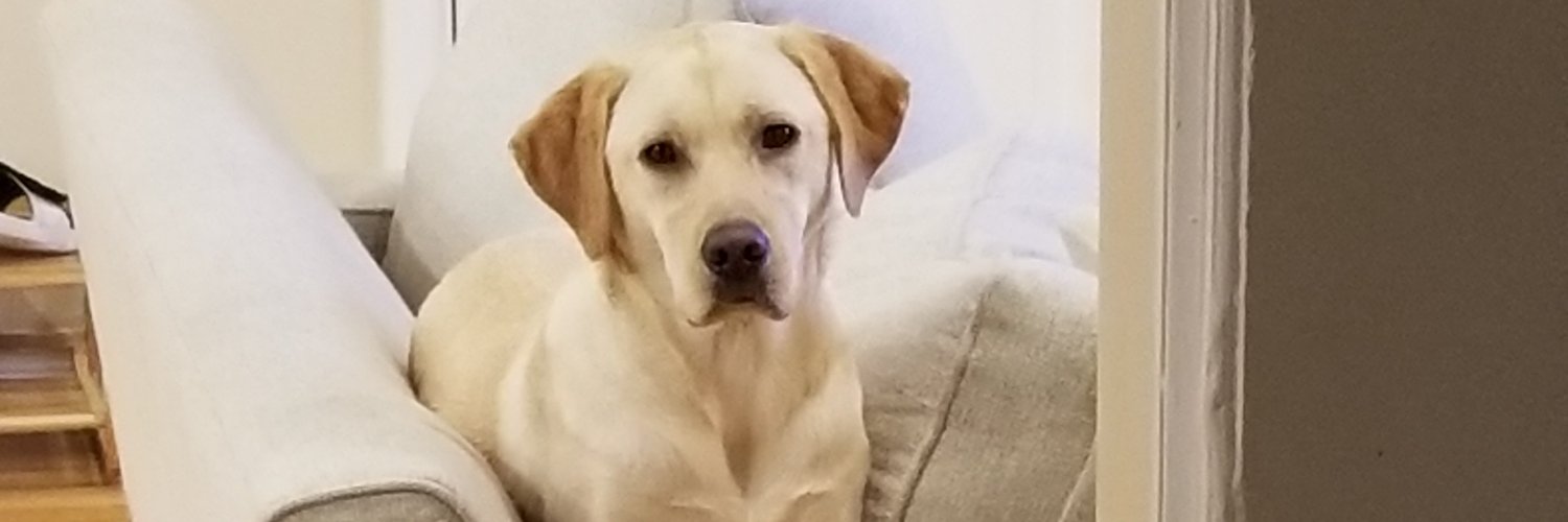 EDROCK74's profile banner image