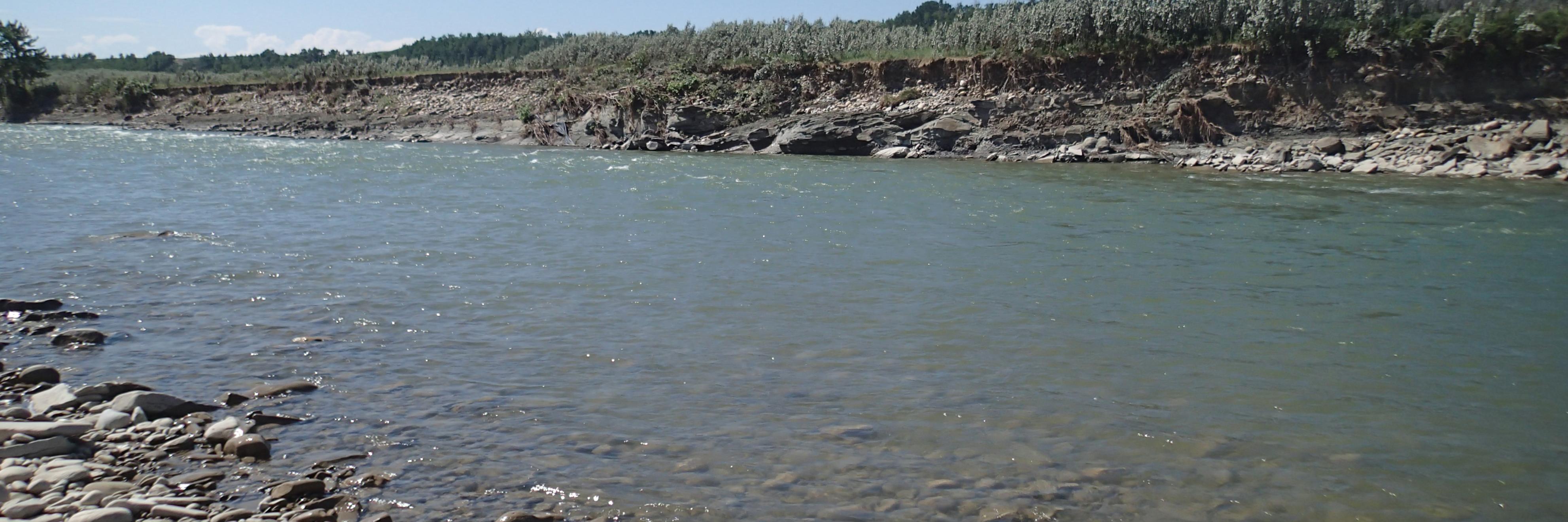 brianwiens's profile banner image