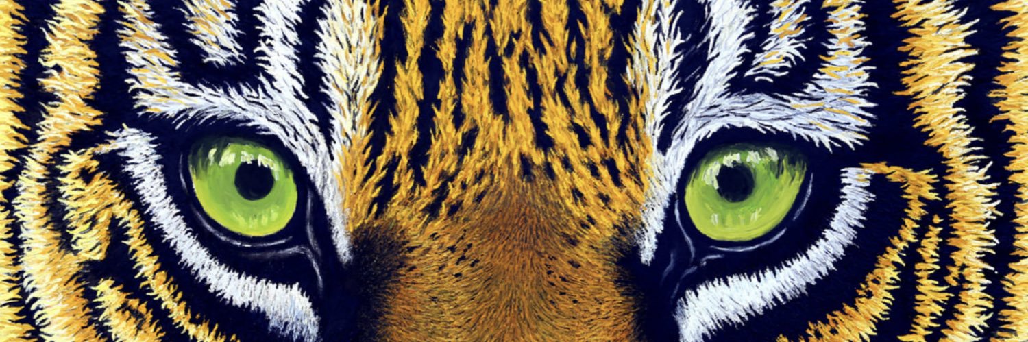 jwvstudios's profile banner image