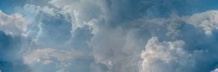 umjiraffe's profile banner image