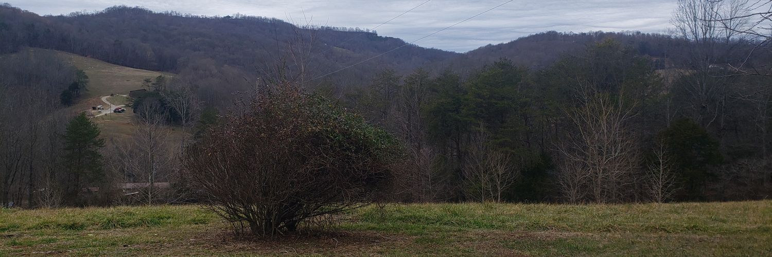 TommyJr531's profile banner image