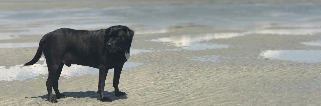 holtbw's profile banner image