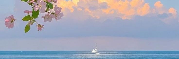 elevatiix's profile banner image