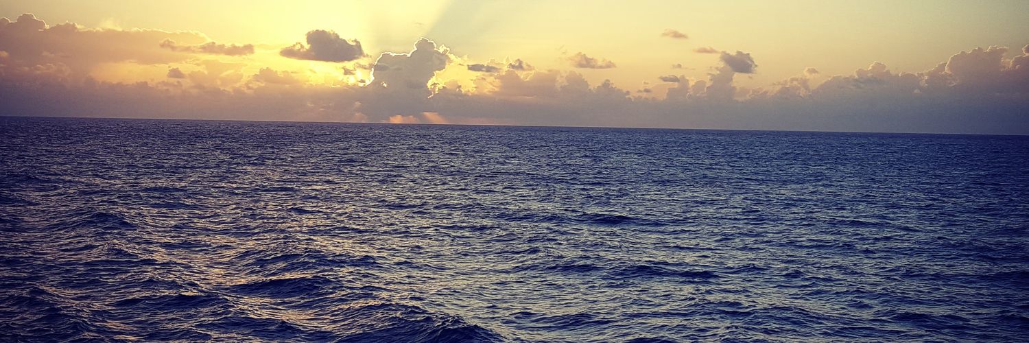 phifel1's profile banner image