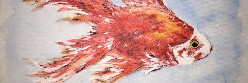 kgossart's profile banner image