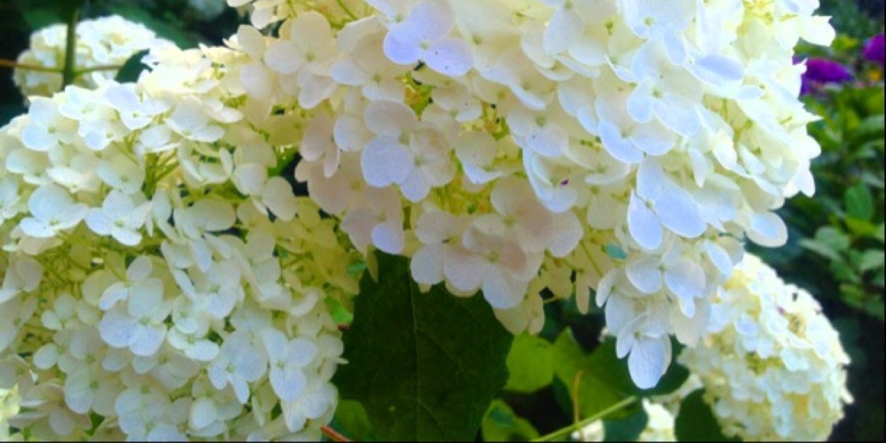 yuuuri79's profile banner image